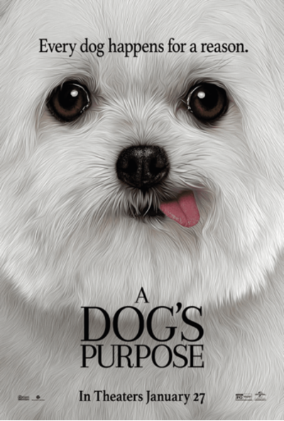 Poster A Dog's Purpose 2017 - Cover Original 2 PREMIUM